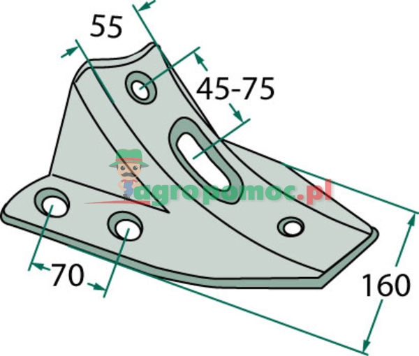 Share foot | zdjęcie nr 2